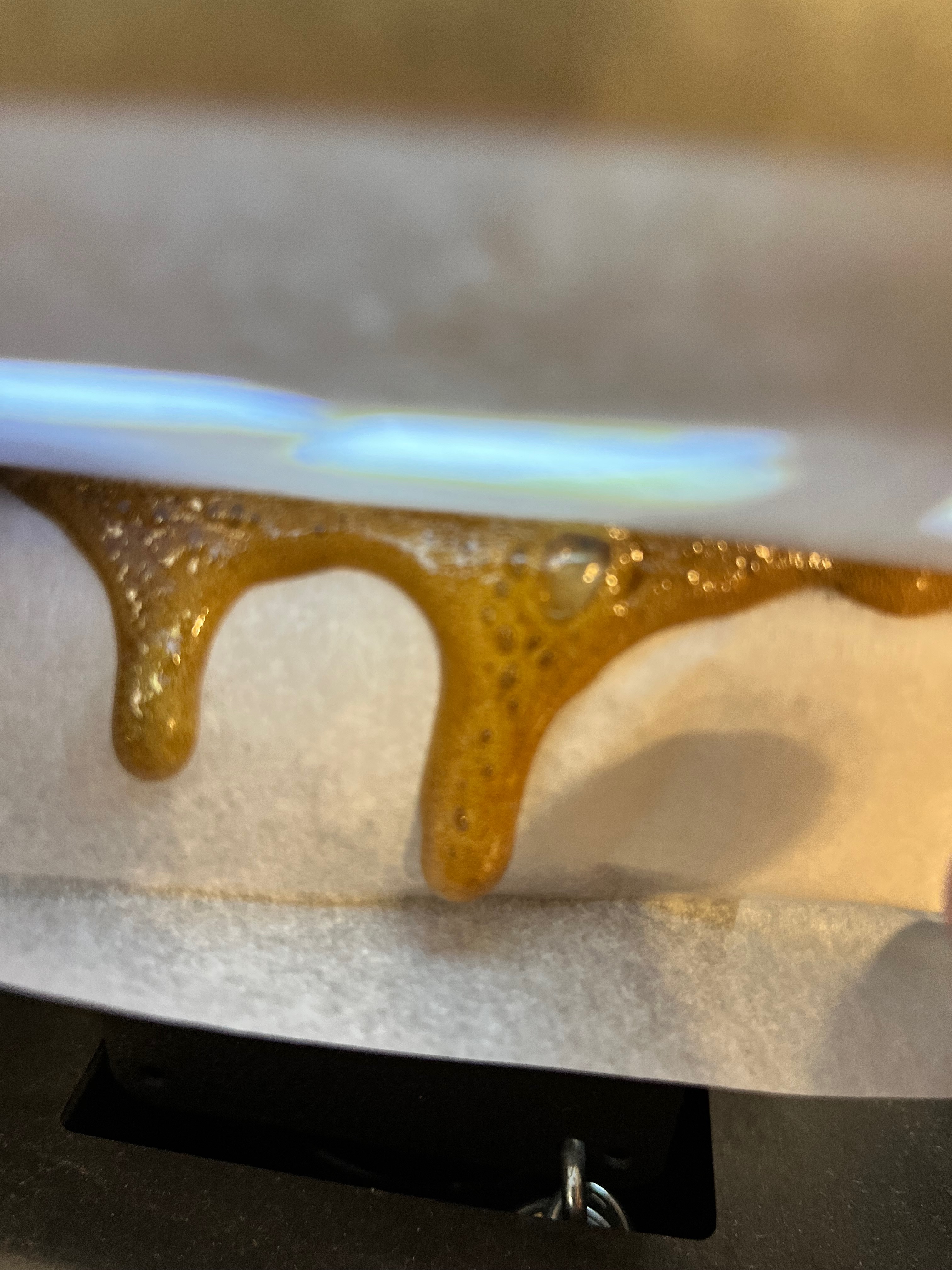 Today’s Press: Garlic Berry – A High Varin Highlight